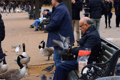 DSC_0662 (Large).JPG